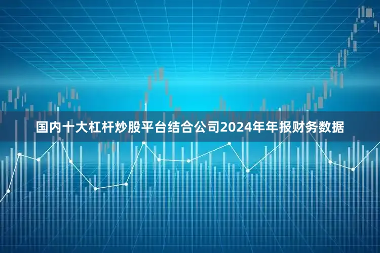 国内十大杠杆炒股平台结合公司2024年年报财务数据