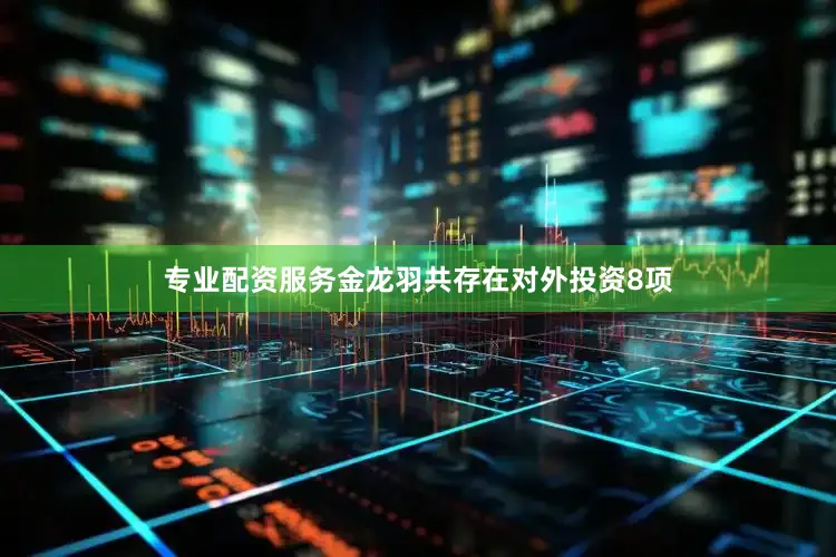 专业配资服务金龙羽共存在对外投资8项